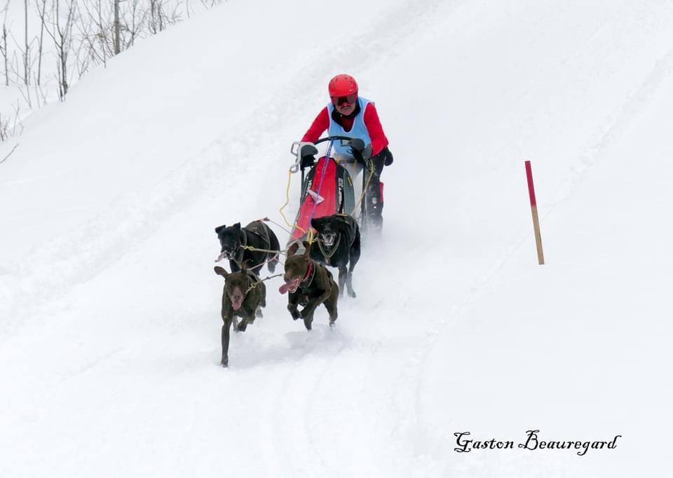 Visitez la section de PHOTOS